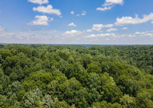 Photo 1 of Land for sale at 1 Highway 49 W, Ashland City, TN 37015 | MLS# 3156419 | Listing updated on 2026-08-12