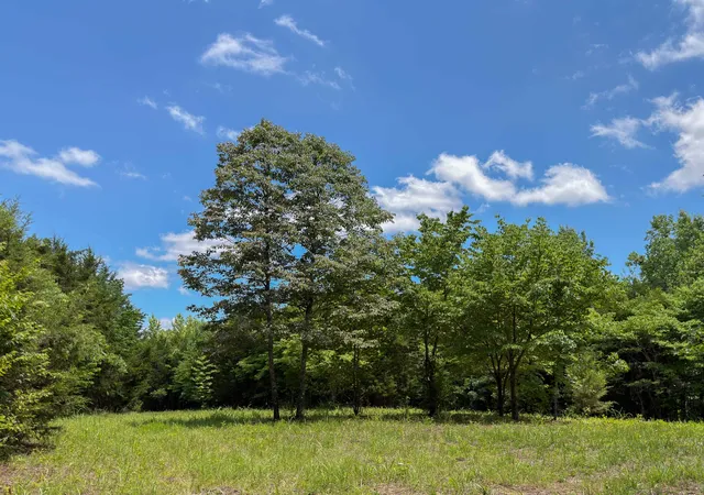 Photo 2 of Land for sale at 1 Highway 49 W, Ashland City, TN 37015 | MLS# 3156419 | Listing updated on 2026-08-12