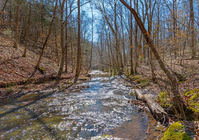 3rd image of 801 Collier Bend Road, Charlotte, TN 37036 | MLS# 3155379