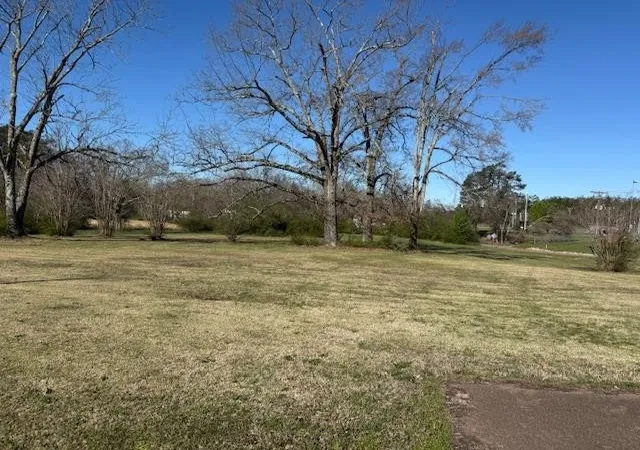 image of 1019 Pickwick St, Savannah, TN 38372 | MLS# 3153039