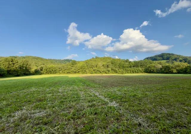 Land for sale at 3780 Hurricane Crk Rd, Woodbury, TN 37190 | MLS# 3155229
