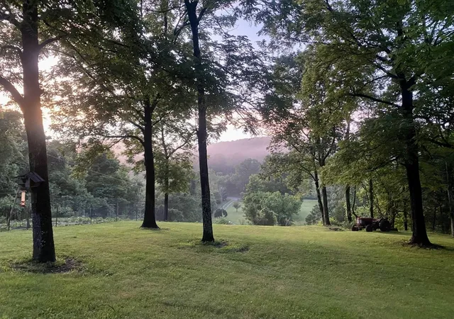 Homes for sale in Watertown, TN | 2744 Clever Creek Rd, Watertown, TN 37184 | MLS# 3156198