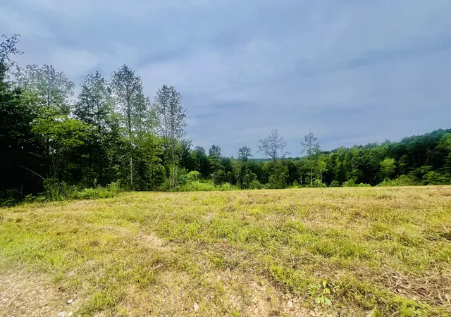 1st image of 0 Kro Hollow Rd, Hohenwald, TN 38462 | MLS# 3155111