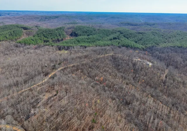 3rd image of 0 Pigpen Hollow Road, Waynesboro, TN 38485 | MLS# 3154910