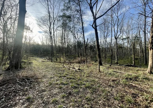 Photo 3 of Land for sale at 9290 Christiana Fosterville Rd, Christiana, TN 37037 | MLS# 3154849 | Listing updated on 2026-09-12