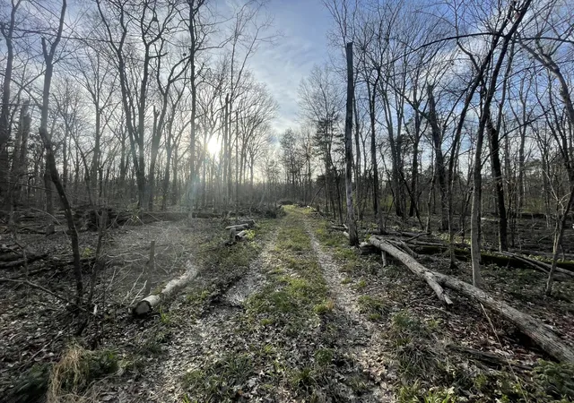 Photo 3 of Land for sale at 9290 Christiana Fosterville Rd, Christiana, TN 37037 | MLS# 3154849 | Listing updated on 2026-09-12