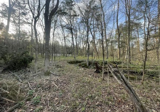Photo 4 of Land for sale at 9290 Christiana Fosterville Rd, Christiana, TN 37037 | MLS# 3154849 | Listing updated on 2026-09-12