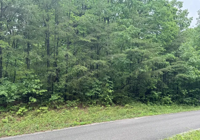 Homes for sale in Gruetli Laager, TN | 18 Avenue, Gruetli Laager, TN 37339 | MLS# 3155796