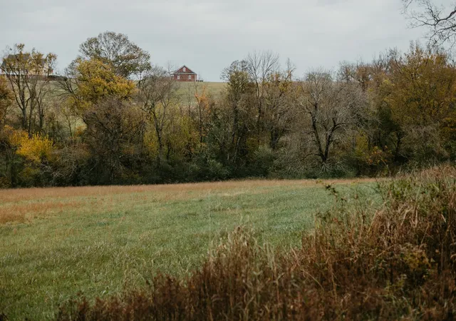 4th image of 2031 Trilogy Ln, Mount Pleasant, TN 38474 | MLS# 3155310
