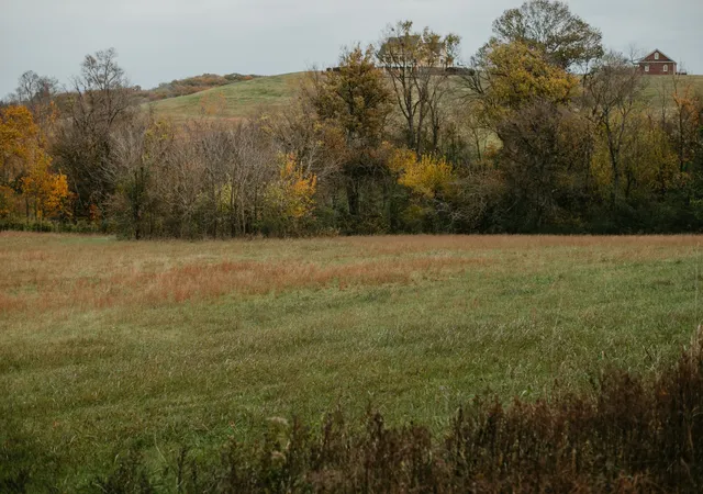 5th image of 2031 Trilogy Ln, Mount Pleasant, TN 38474 | MLS# 3155310