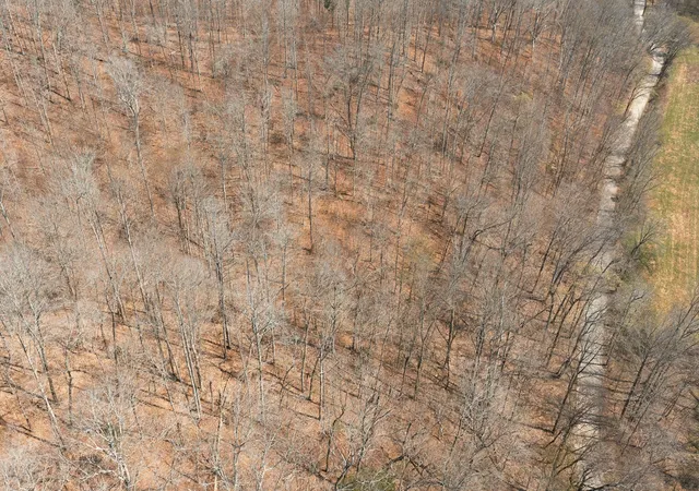 27th image of 0 Cave Branch Road, Dickson, TN 37055 | MLS# 3164830