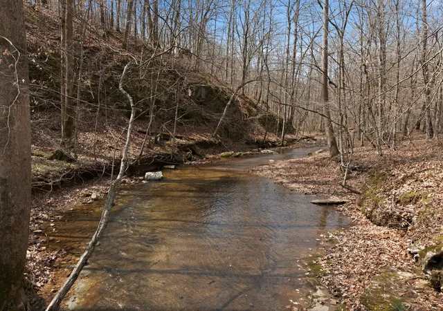 3rd image of 0 Cave Branch Road, Dickson, TN 37055 | MLS# 3164830