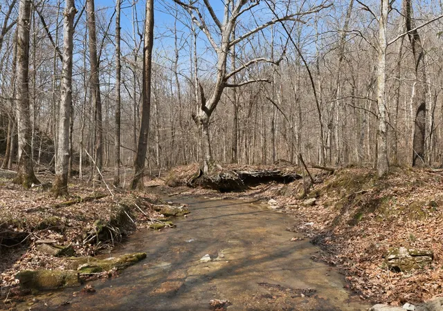 4th image of 0 Cave Branch Road, Dickson, TN 37055 | MLS# 3164830