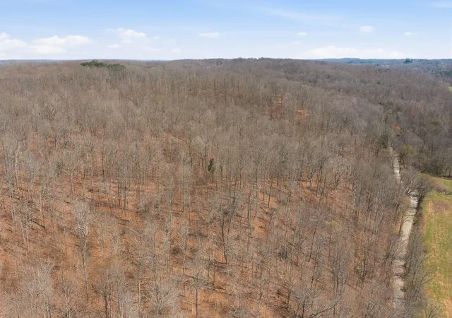 5th image of 0 Cave Branch Road, Dickson, TN 37055 | MLS# 3164830