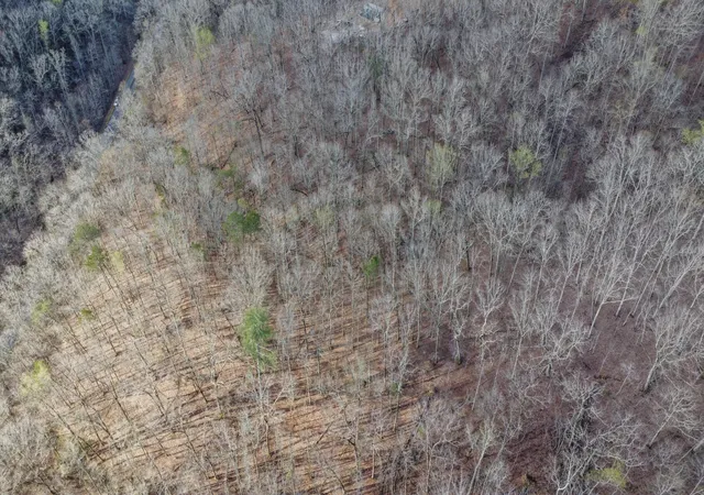 2nd image of 435 Hidden Oaks Road, Harriman, TN 37748 | MLS# 3337220