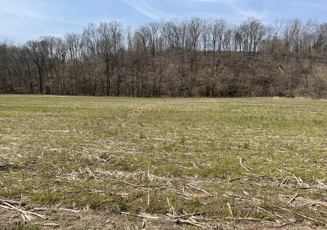 1st image of 0 Dutch Creek Rd, Westmoreland, TN 37186 | MLS# 3155546