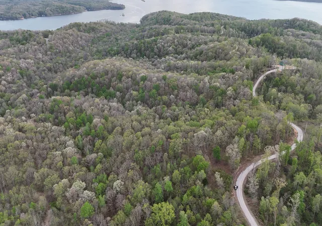 Photo 2 of Land for sale at 75 Overlook Trl, Stewart, TN 37175 | MLS# 3158609 | Listing updated on 2026-04-04