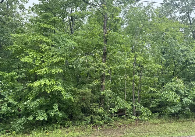 Photo 1 of Land for sale at 0 18th Avenue S, Gruetli Laager, TN 37339 | MLS# 3155807 | Listing updated on 2026-07-21