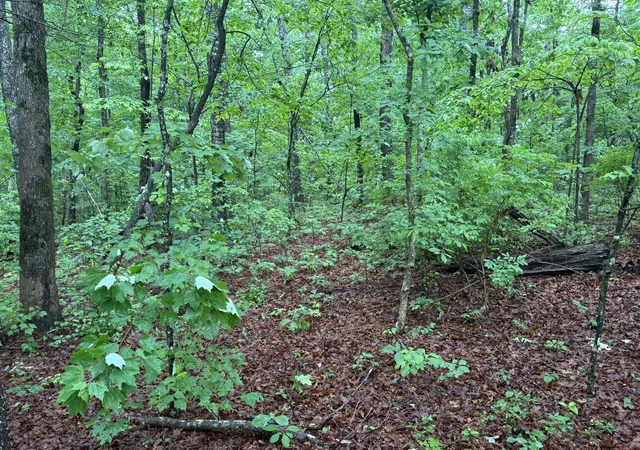 Photo 2 of Land for sale at 0 18th Avenue S, Gruetli Laager, TN 37339 | MLS# 3155807 | Listing updated on 2026-07-21