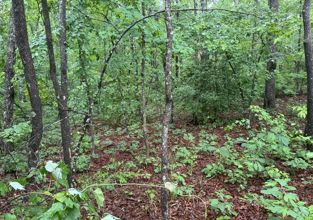 Photo 3 of Land for sale at 0 18th Avenue S, Gruetli Laager, TN 37339 | MLS# 3155807 | Listing updated on 2026-07-21