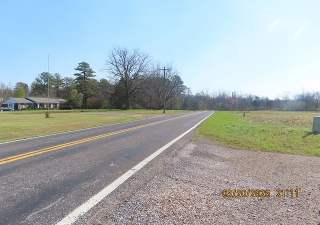 Homes for sale in Toone, TN | 0 Hwy 125 N, Toone, TN 38381 | MLS# 3156002