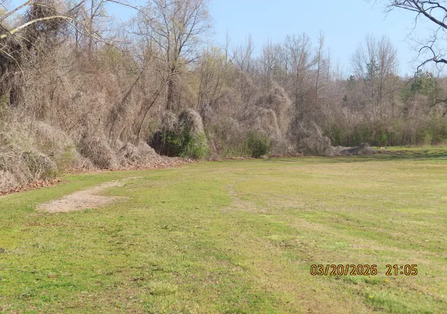 Homes for sale in Toone, TN | 0 Hwy 125 N, Toone, TN 38381 | MLS# 3156002