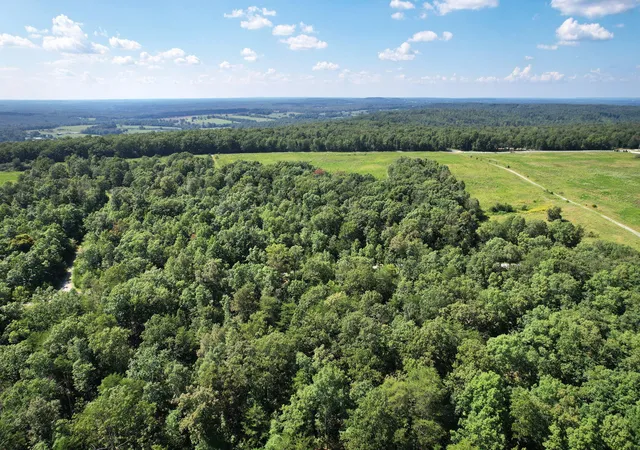 Homes for sale in Pikeville, TN | 0 Big Bluff View Road, Pikeville, TN 37367 | MLS# 3155995