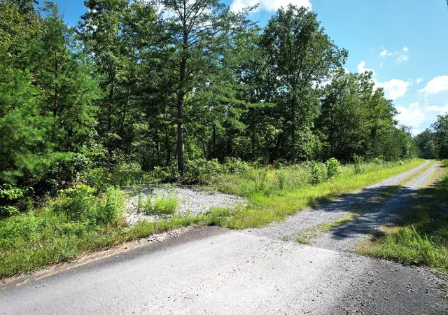 Homes for sale in Pikeville, TN | 0 Big Bluff View Road, Pikeville, TN 37367 | MLS# 3155995