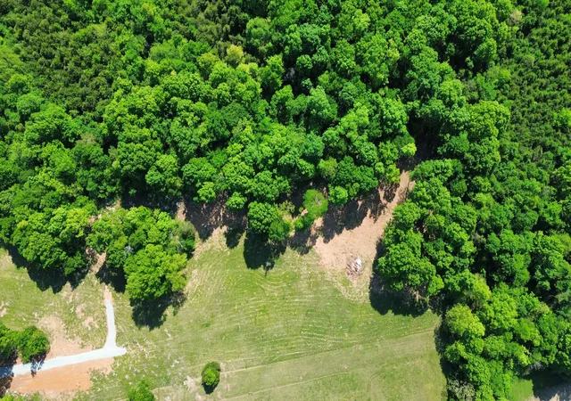 5th image of 2556 Palmetto Cemetery Rd, Lewisburg, TN 37091 | MLS# 3156263