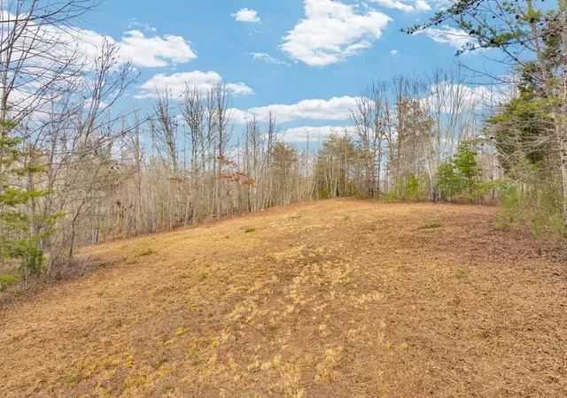 Homes for sale in Grandview, TN | 0 Soak Creek Lane, Grandview, TN 37337 | MLS# 3261259