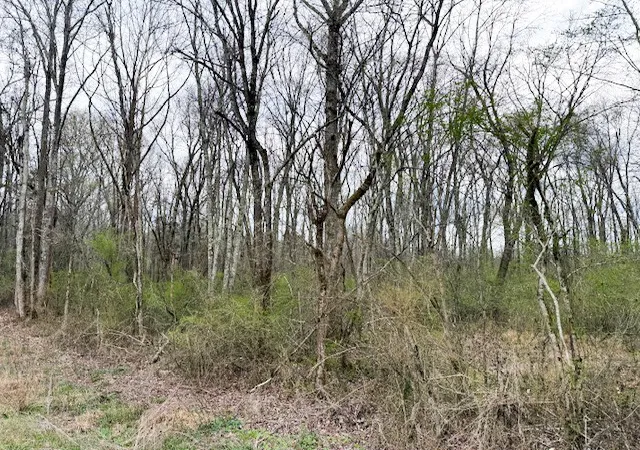 15th image of 0 Evening Shadow Ln, Whitwell, TN 37397 | MLS# 3156393