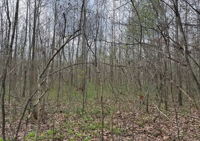 4th image of 0 Evening Shadow Ln, Whitwell, TN 37397 | MLS# 3156393