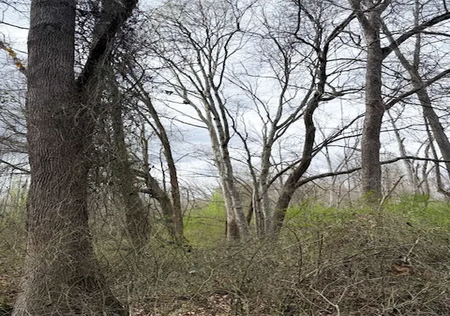 5th image of 0 Evening Shadow Ln, Whitwell, TN 37397 | MLS# 3156393