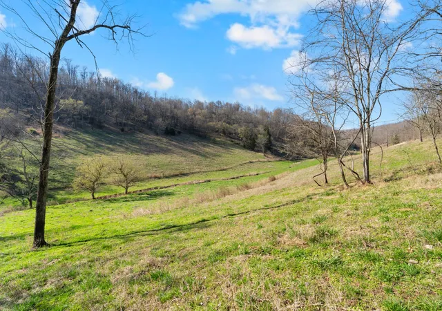 Homes for sale in Liberty, TN | 546 Womack Hollow Rd, Liberty, TN 37095 | MLS# 3156471