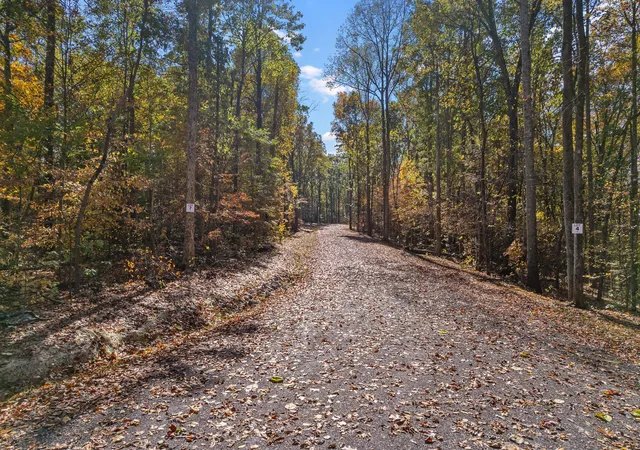 2nd image of 4 County Road 29, Riceville, TN 37370 | MLS# 3338175