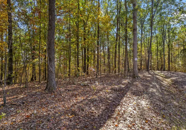 Photo 3 of Land for sale at 4 County Rd 29, Riceville, TN 37370 | MLS# 3338175 | Listing updated on 2026-10-09