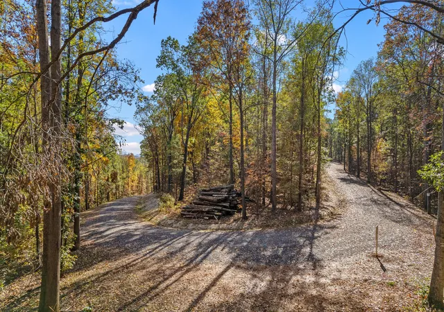 Photo 4 of Land for sale at 4 County Rd 29, Riceville, TN 37370 | MLS# 3338175 | Listing updated on 2026-10-09