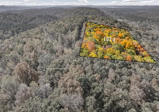 Photo 3 of Sale Pending at 7 County Rd 29, Riceville, TN 37370 | MLS# 3338227 | Listing updated on 2026-10-09