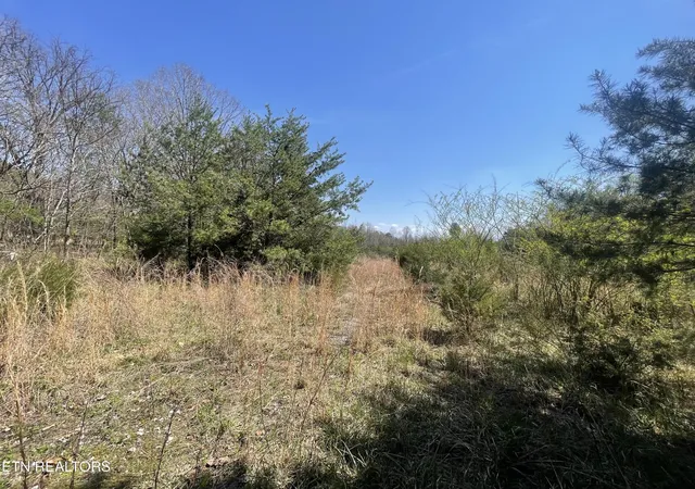 2nd image of 317 Mountain View Dr, Vonore, TN 37885 | MLS# 3171936