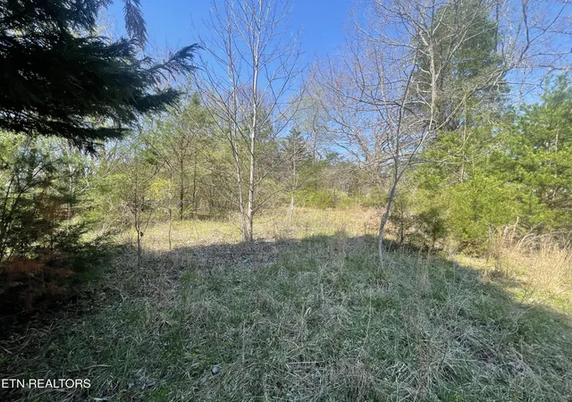 3rd image of 317 Mountain View Dr, Vonore, TN 37885 | MLS# 3171936