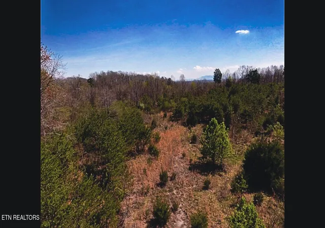 1st image of 317 Mountain View Dr, Vonore, TN 37885 | MLS# 3171936