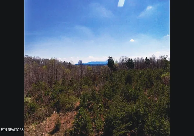 4th image of 317 Mountain View Dr, Vonore, TN 37885 | MLS# 3171936