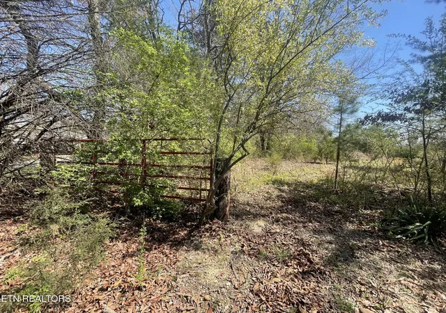 5th image of 317 Mountain View Dr, Vonore, TN 37885 | MLS# 3171936