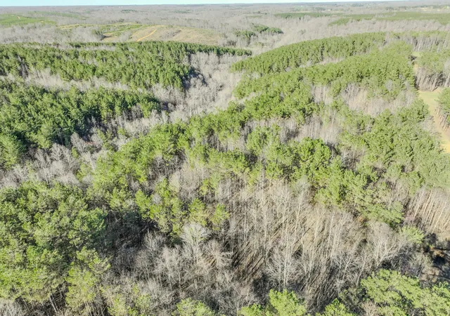 1st image of 0 Bryant Boswell Rd, Westpoint, TN 38486 | MLS# 3158711