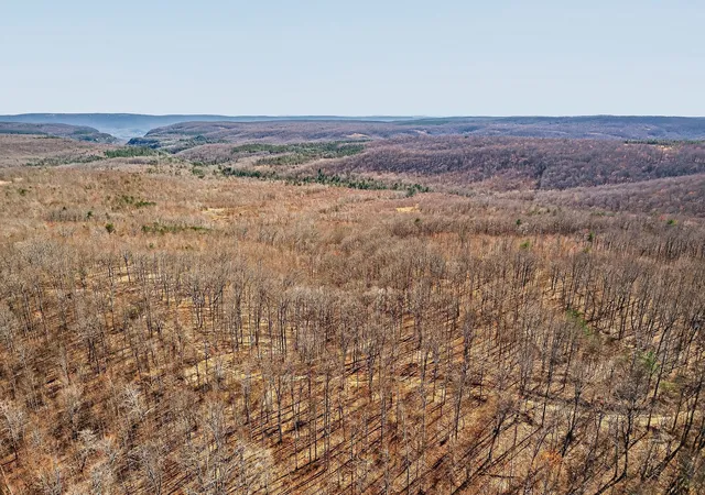 4th image of 253 Daus Mountain Rd, Palmer, TN 37365 | MLS# 3158619