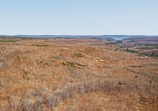 5th image of 253 Daus Mountain Rd, Palmer, TN 37365 | MLS# 3158619