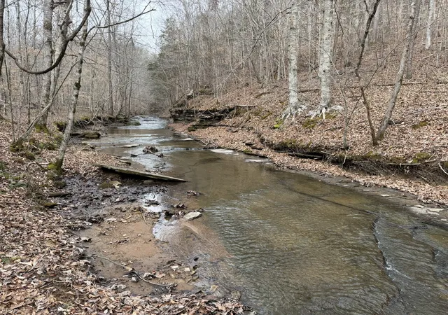 Photo 1 of Land for sale at 0 Collier Bnd Rd, Charlotte, TN 37036 | MLS# 3183542 | Listing updated on 2026-07-14