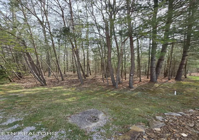 Homes for sale in Crossville, TN | 16 Holly Court, Crossville, TN 38558 | MLS# 3158795