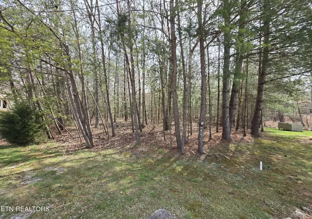 Homes for sale in Crossville, TN | 16 Holly Court, Crossville, TN 38558 | MLS# 3158795