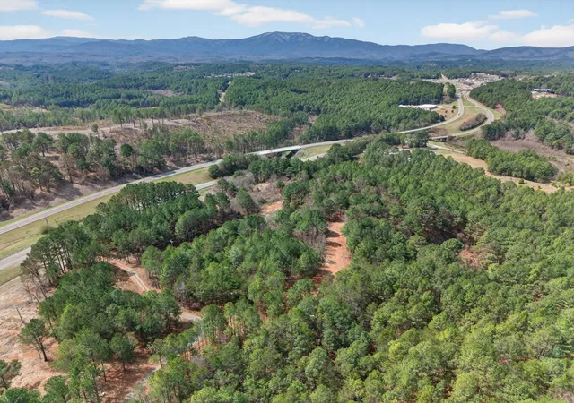 Homes for sale in Copperhill, TN | 5333 Hwy 64, Lot 4, Copperhill, TN 37317 | MLS# 3234353